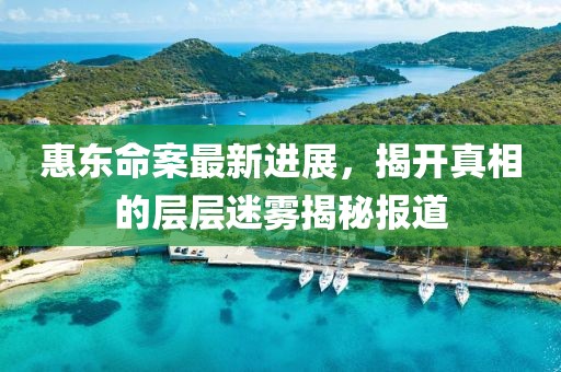 惠東命案最新進(jìn)展，揭開真相的層層迷霧揭秘報道