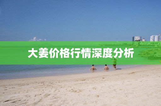 大姜價格行情深度分析