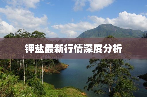 鉀鹽最新行情深度分析