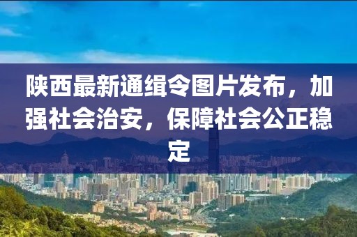 陜西最新通緝令圖片發(fā)布，加強(qiáng)社會治安，保障社會公正穩(wěn)定