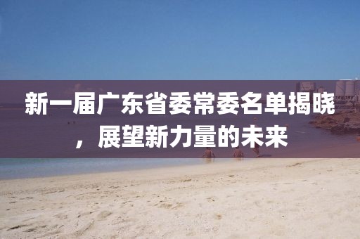 新一屆廣東省委常委名單揭曉，展望新力量的未來
