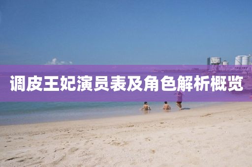 調(diào)皮王妃演員表及角色解析概覽