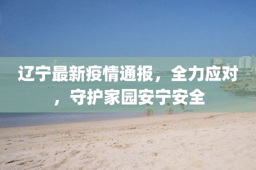 遼寧最新疫情通報(bào)，全力應(yīng)對(duì)，守護(hù)家園安寧安全