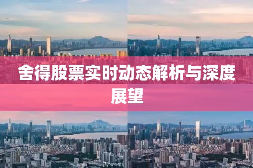 舍得股票實(shí)時(shí)動態(tài)解析與深度展望