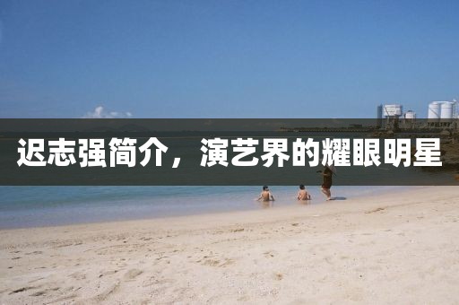 遲志強(qiáng)簡介，演藝界的耀眼明星