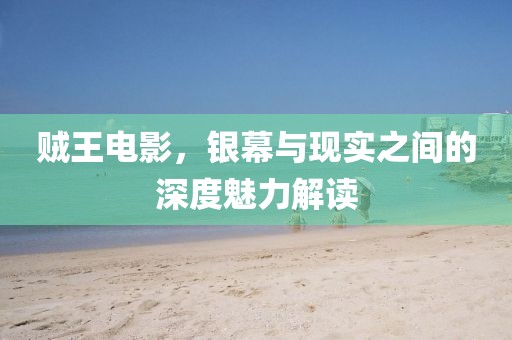 賊王電影，銀幕與現(xiàn)實(shí)之間的深度魅力解讀