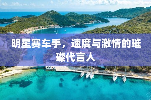 明星賽車手，速度與激情的璀璨代言人