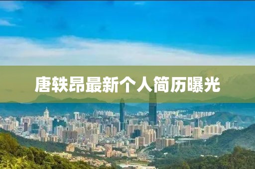 唐軼昂最新個人簡歷曝光