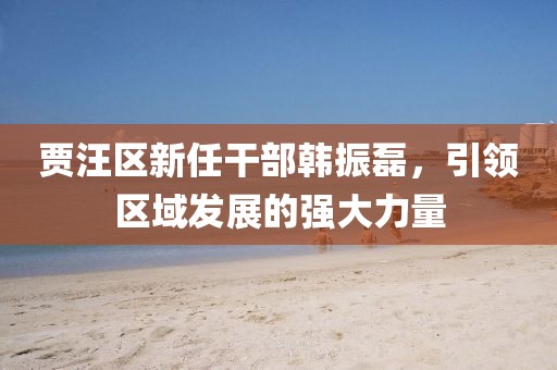 賈汪區(qū)新任干部韓振磊，引領(lǐng)區(qū)域發(fā)展的強(qiáng)大力量