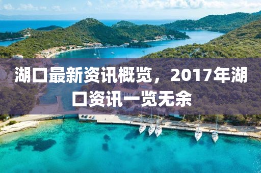 湖口最新資訊概覽，2017年湖口資訊一覽無余