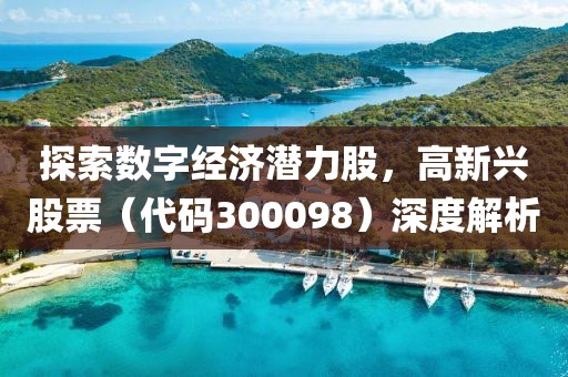 探索數(shù)字經(jīng)濟(jì)潛力股，高新興股票（代碼300098）深度解析
