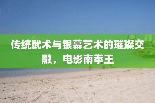 傳統(tǒng)武術(shù)與銀幕藝術(shù)的璀璨交融，電影南拳王