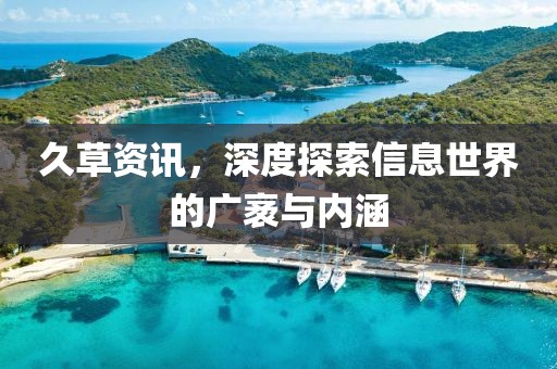 久草資訊，深度探索信息世界的廣袤與內(nèi)涵