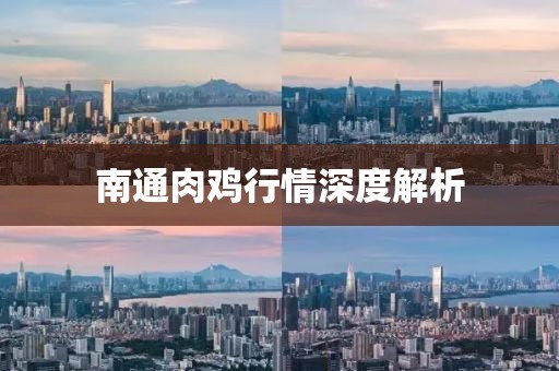 南通肉雞行情深度解析
