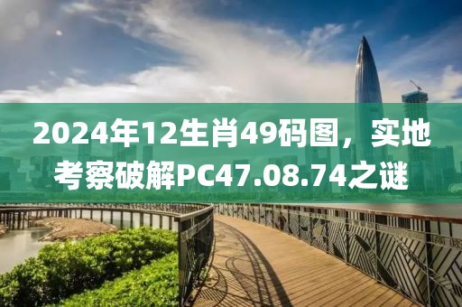 2024年12生肖49碼圖，實地考察破解PC47.08.74之謎