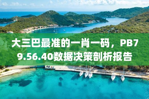 大三巴最準的一肖一碼，PB79.56.40數(shù)據(jù)決策剖析報告