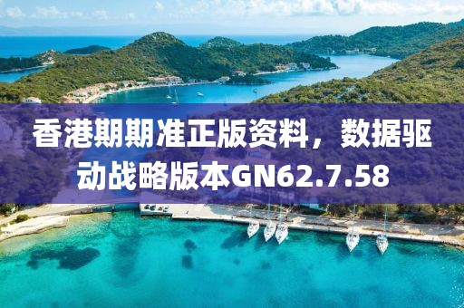 香港期期準(zhǔn)正版資料，數(shù)據(jù)驅(qū)動(dòng)戰(zhàn)略版本GN62.7.58