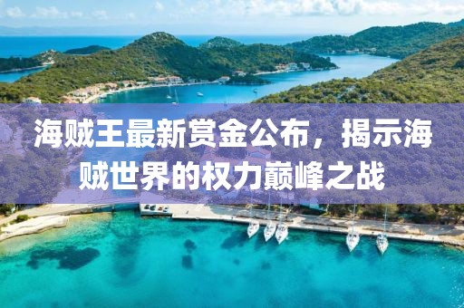 海賊王最新賞金公布，揭示海賊世界的權力巔峰之戰(zhàn)