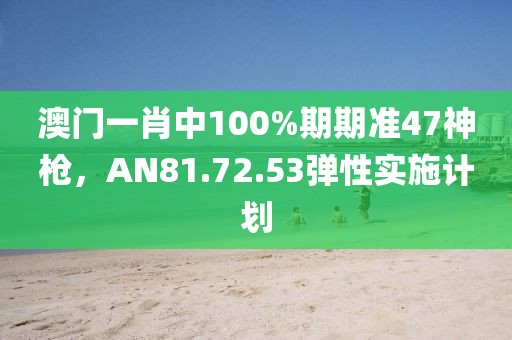 澳門(mén)一肖中100%期期準(zhǔn)47神槍?zhuān)珹N81.72.53彈性實(shí)施計(jì)劃