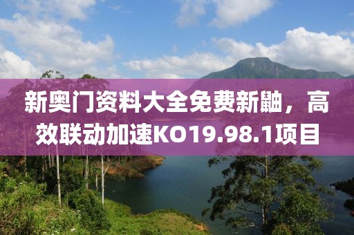 新奧門資料大全免費新鼬，高效聯(lián)動加速KO19.98.1項目