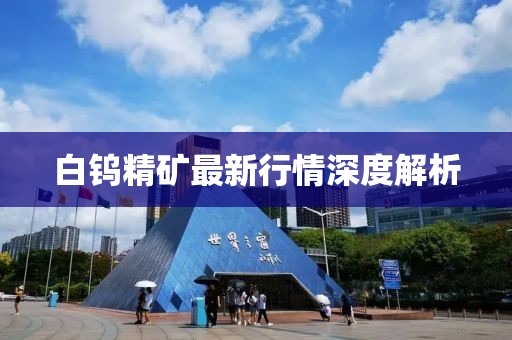 白鎢精礦最新行情深度解析