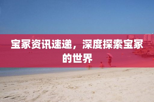 寶冢資訊速遞，深度探索寶冢的世界