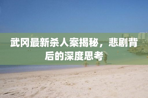 武岡最新殺人案揭秘，悲劇背后的深度思考