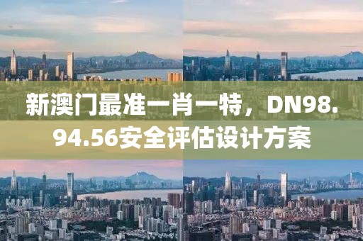 新澳門最準一肖一特，DN98.94.56安全評估設(shè)計方案