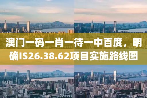 澳門一碼一肖一待一中百度，明確IS26.38.62項目實施路線圖