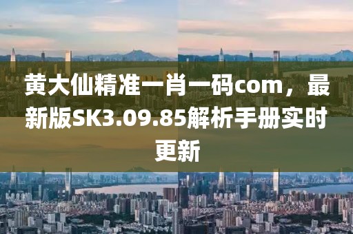 黃大仙精準(zhǔn)一肖一碼com，最新版SK3.09.85解析手冊實(shí)時更新