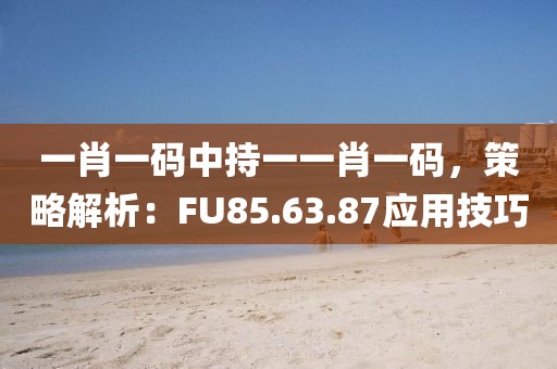 一肖一碼中持一一肖一碼，策略解析：FU85.63.87應用技巧
