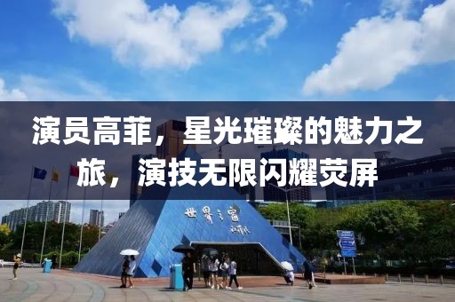 演員高菲，星光璀璨的魅力之旅，演技無限閃耀熒屏