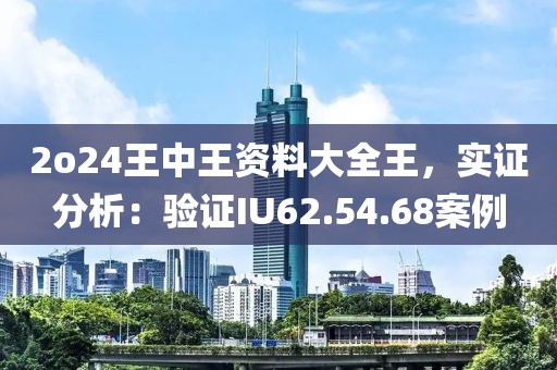2o24王中王資料大全王，實(shí)證分析：驗(yàn)證IU62.54.68案例