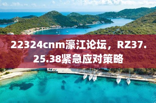 22324cnm濠江論壇，RZ37.25.38緊急應(yīng)對(duì)策略