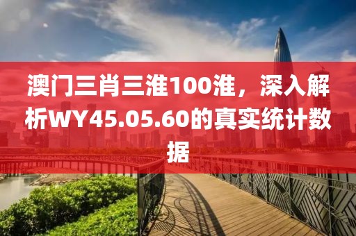 澳門三肖三淮100淮，深入解析WY45.05.60的真實(shí)統(tǒng)計(jì)數(shù)據(jù)