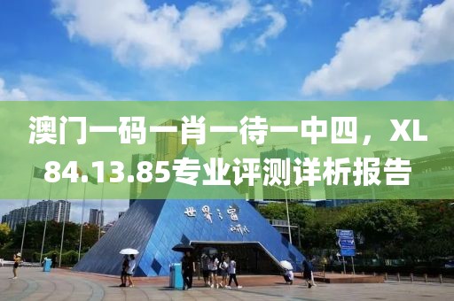 澳門一碼一肖一待一中四，XL84.13.85專業(yè)評測詳析報告