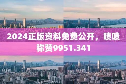 2024正版資料免費公開，嘖嘖稱贊9951.341