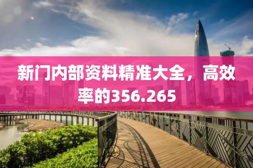 新門內(nèi)部資料精準(zhǔn)大全，高效率的356.265