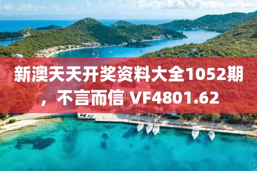 新澳天天開獎資料大全1052期，不言而信 VF4801.62