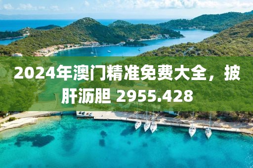 2024年澳門精準(zhǔn)免費大全，披肝瀝膽 2955.428