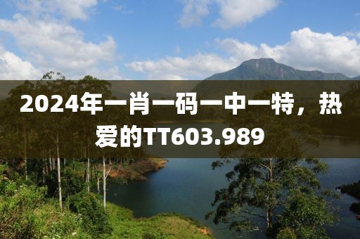 2024年一肖一碼一中一特，熱愛的TT603.989