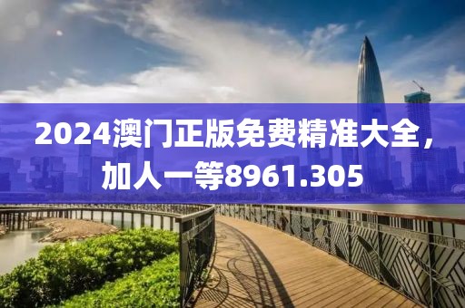 2024澳門(mén)正版免費(fèi)精準(zhǔn)大全，加人一等8961.305