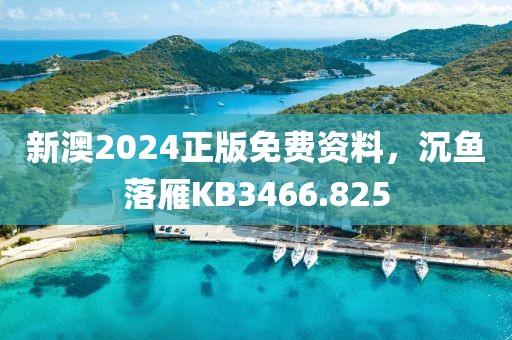 新澳2024正版免費(fèi)資料，沉魚落雁KB3466.825