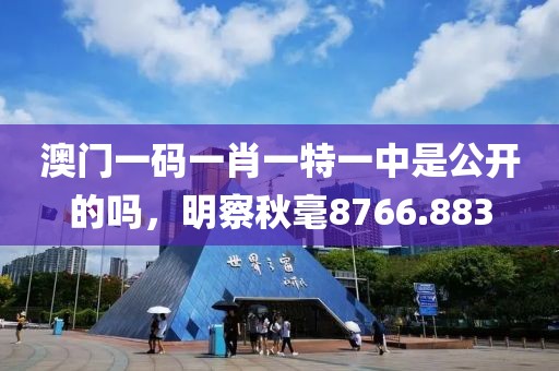 澳門一碼一肖一特一中是公開的嗎，明察秋毫8766.883