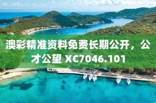 澳彩精準資料免費長期公開，公才公望 XC7046.101