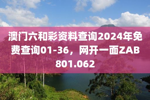 澳門六和彩資料查詢2024年免費(fèi)查詢01-36，網(wǎng)開一面ZAB801.062