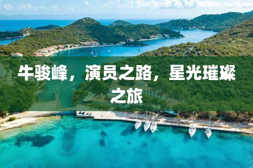 牛駿峰，演員之路，星光璀璨之旅