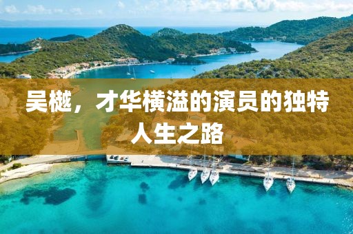 吳樾，才華橫溢的演員的獨(dú)特人生之路