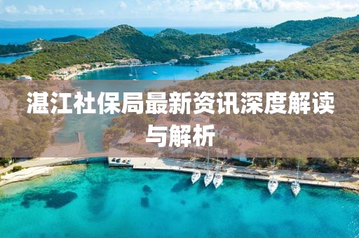 湛江社保局最新資訊深度解讀與解析