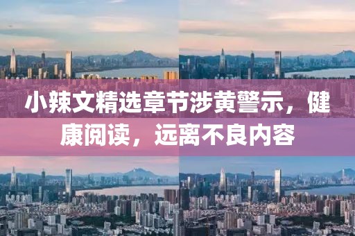 小辣文精選章節(jié)涉黃警示，健康閱讀，遠離不良內(nèi)容